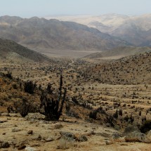 Valley to the Mirador
